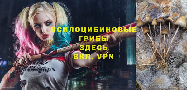 тгк Заполярный
