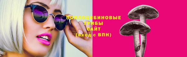прущая мука Заречный