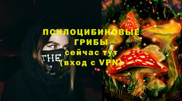 тгк Заполярный