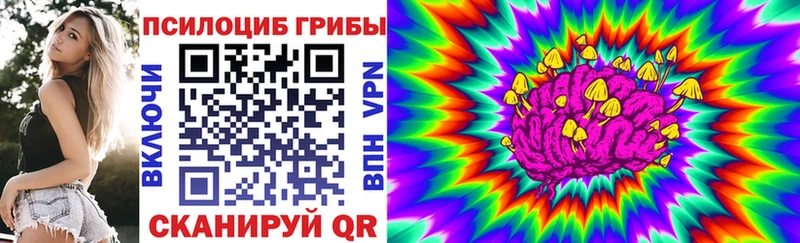 Галлюциногенные грибы мицелий  купить  сайты  hydra ТОР  Кингисепп 